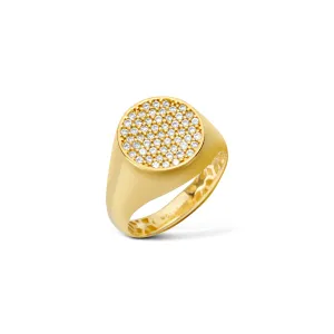 Diamond Signet Ring - 14 karat gold ring for women, diamonds