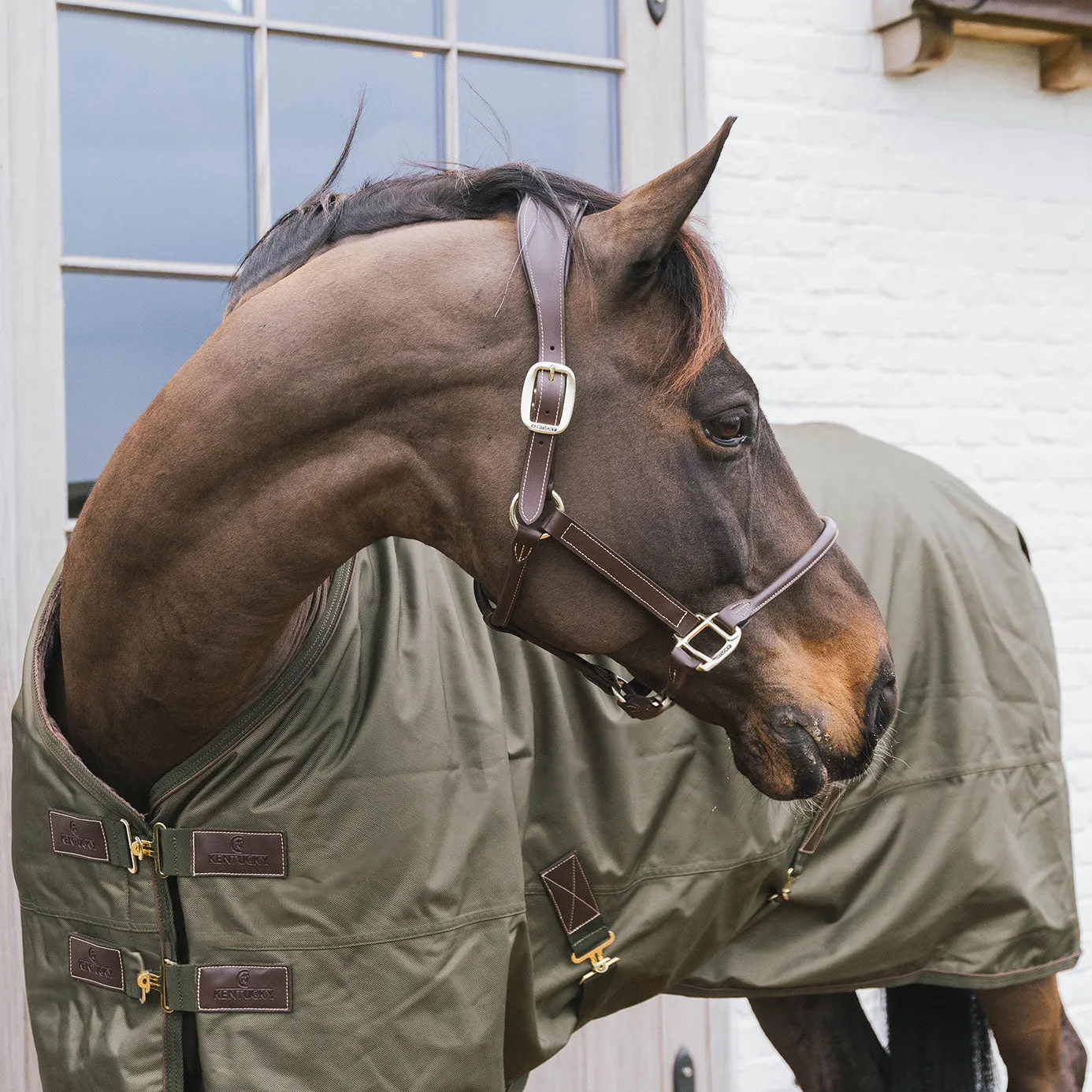 Kentucky Horsewear Pro All Weather Turnout Rug 160g - Khaki