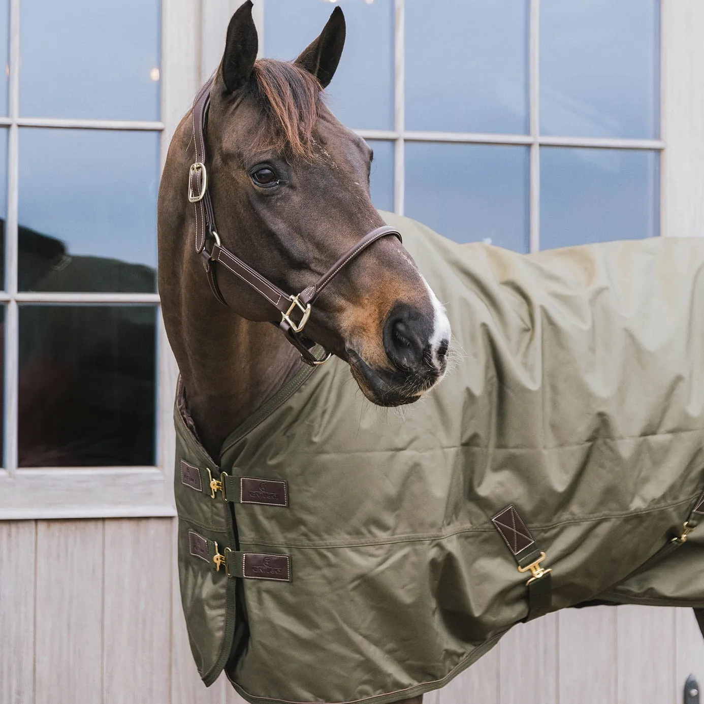 Kentucky Horsewear Pro All Weather Turnout Rug 160g - Khaki