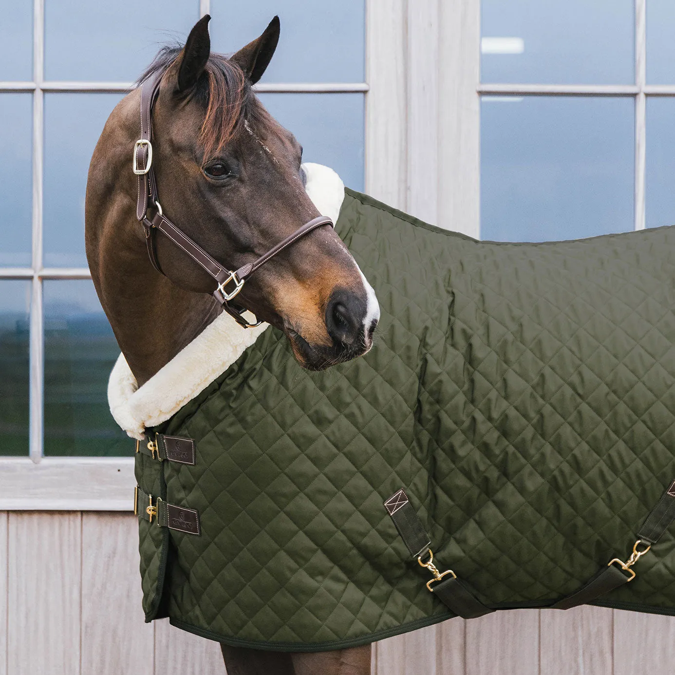 Kentucky Horsewear Show Rug - Khaki