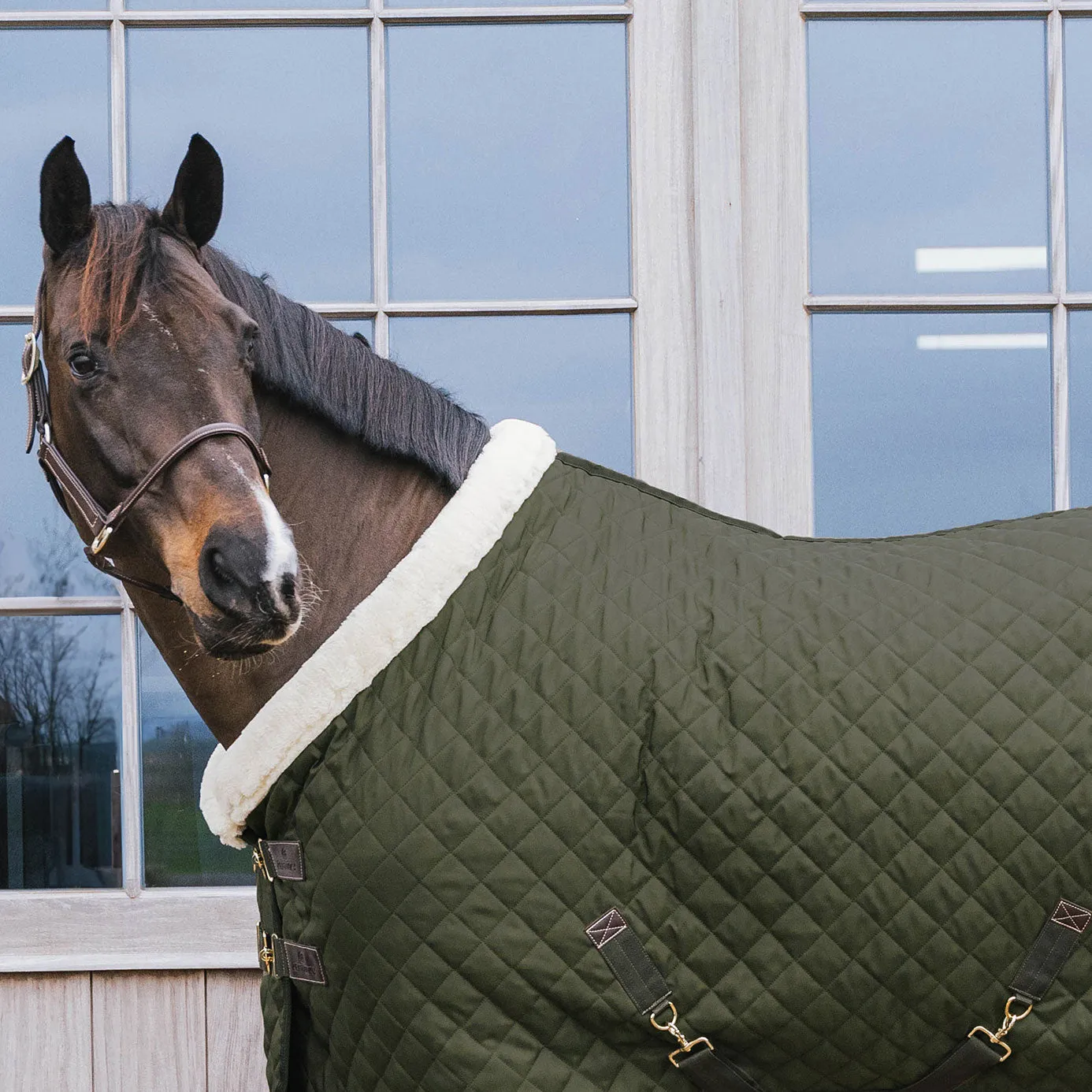 Kentucky Horsewear Show Rug - Khaki