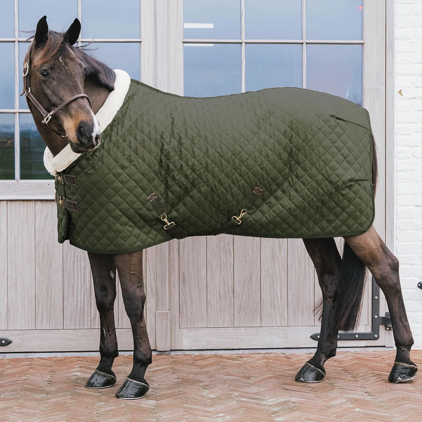 Kentucky Horsewear Show Rug - Khaki