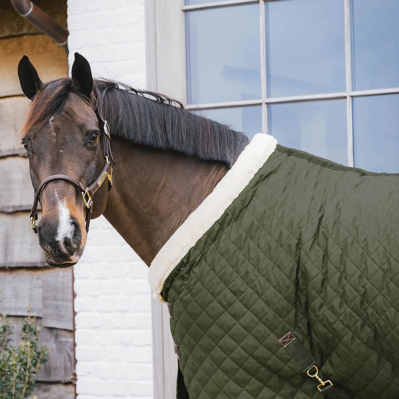 Kentucky Horsewear Show Rug - Khaki