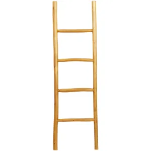 Oswald Modern Ladder